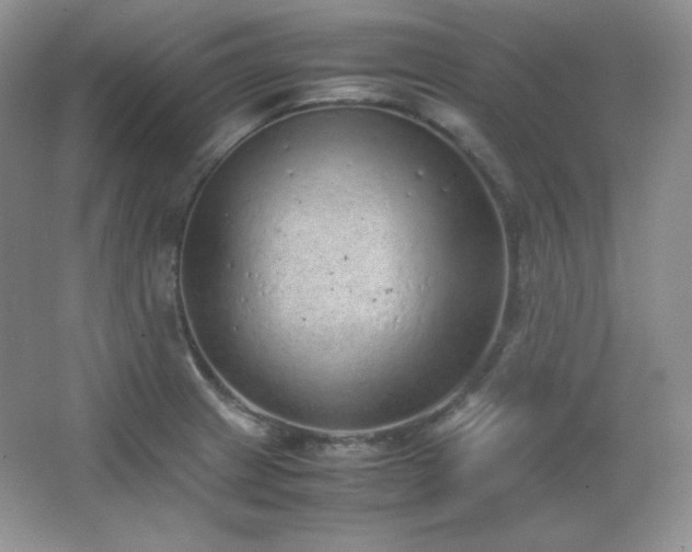 X0000067501233200604071218