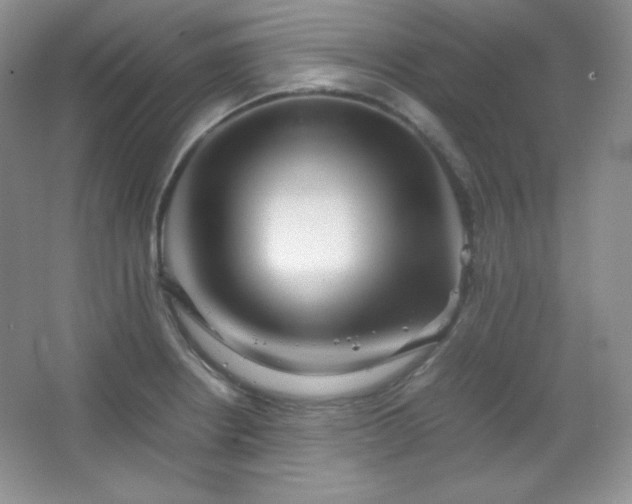 X0000067501234200604071218