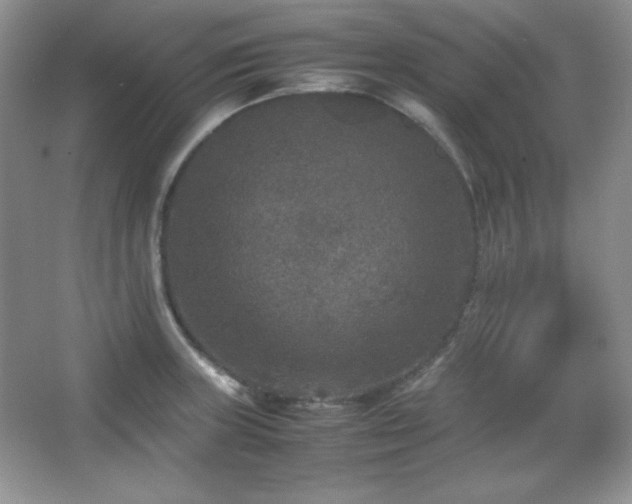 X0000067501235200604071218