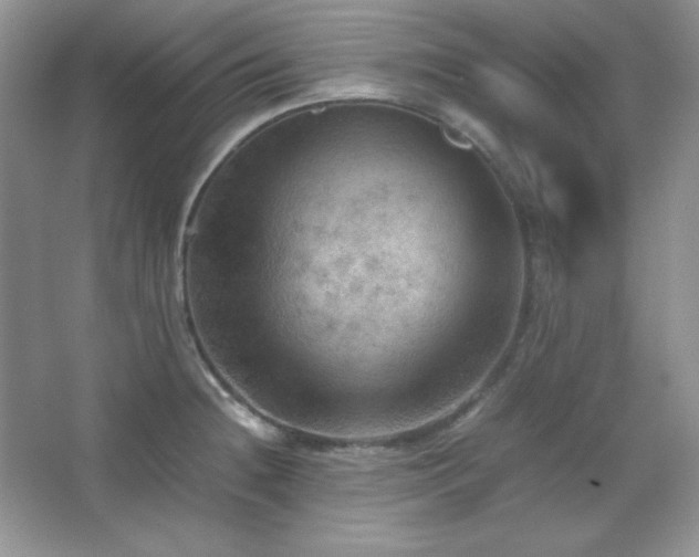 X0000067501236200604071218