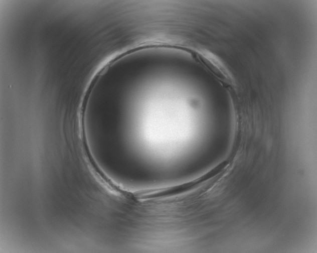 X0000067501238200604071218