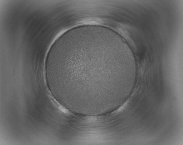 X0000067501240200604071218