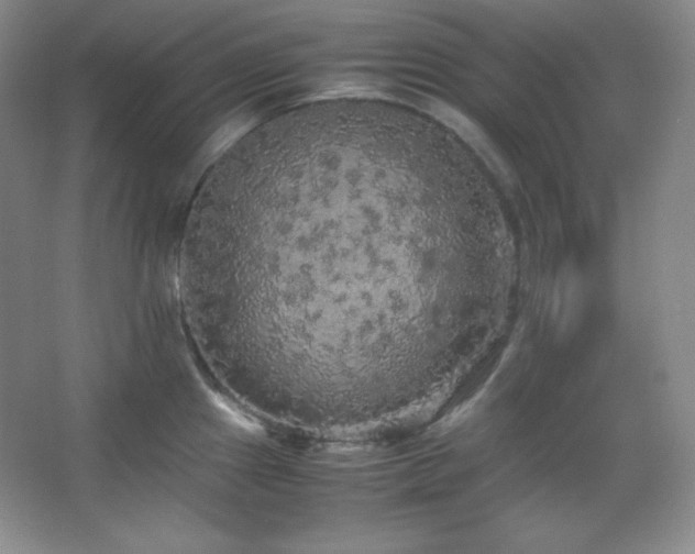 X0000067501241200604071218