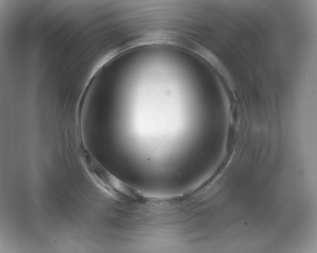 X0000067501242200604071218