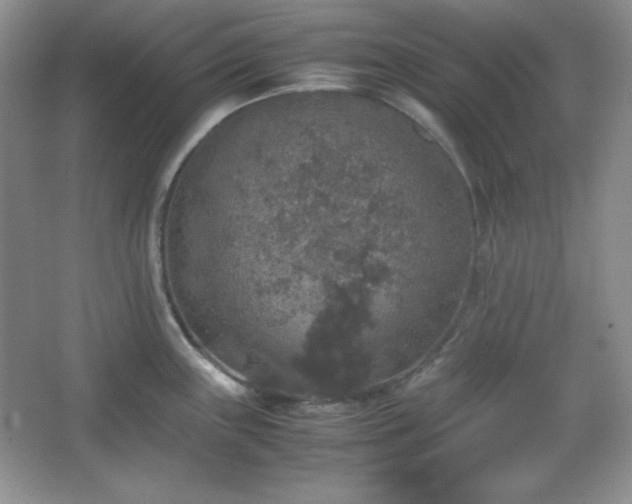 X0000067501243200604071218