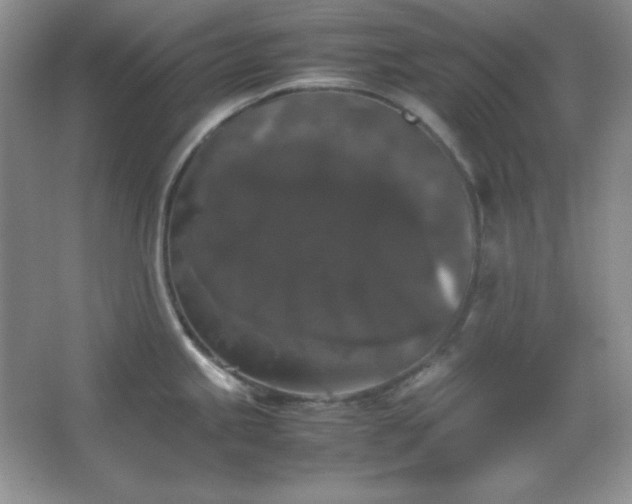 X0000067501245200604071218