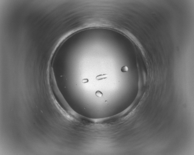 X0000067501246200604071218