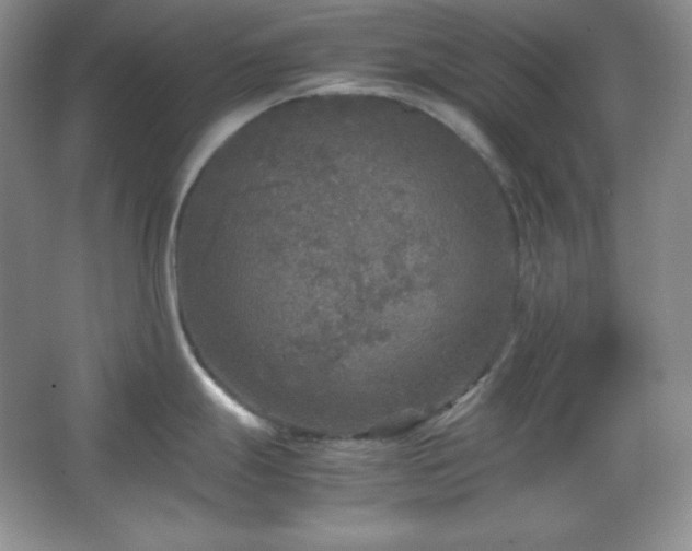 X0000067501247200604071218