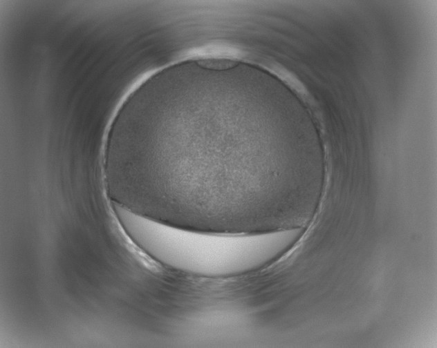 X0000067501248200604071218