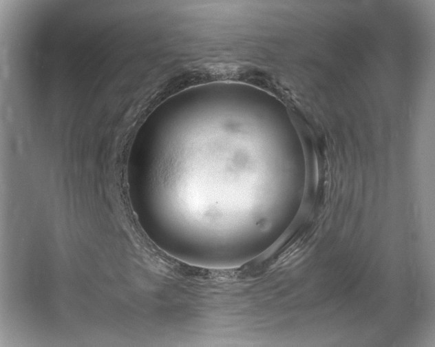 X0000067501249200604071217