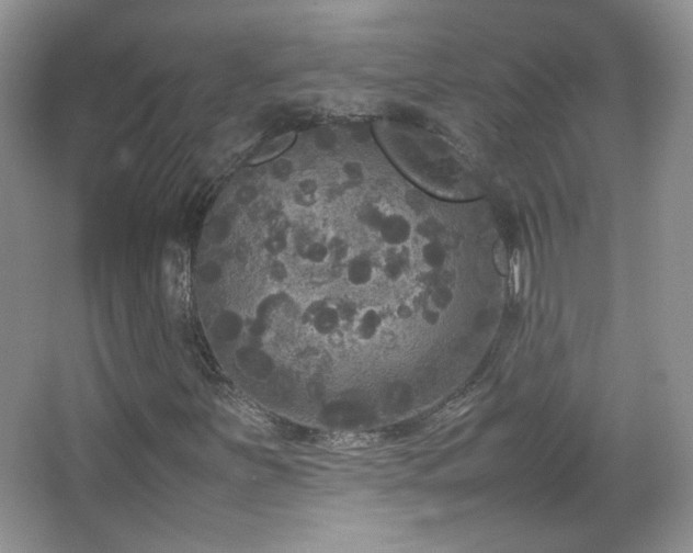 X0000067501251200604071217