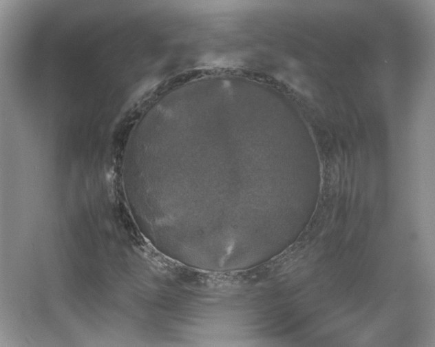 X0000067501254200604071217