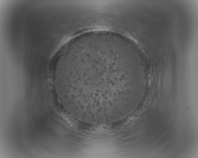 X0000067501255200604071217