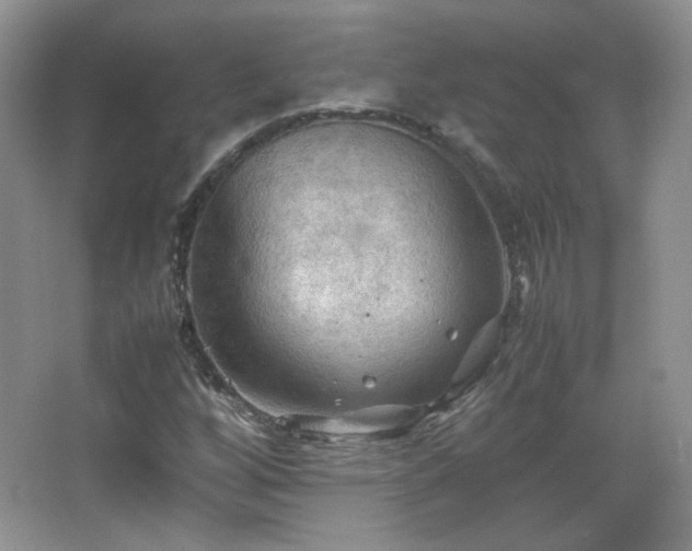 X0000067501256200604071217