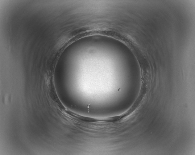 X0000067501257200604071217