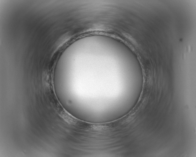 X0000067501258200604071217