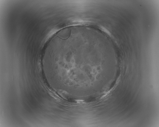 X0000067501259200604071217