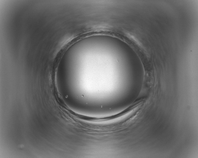 X0000067501261200604071217