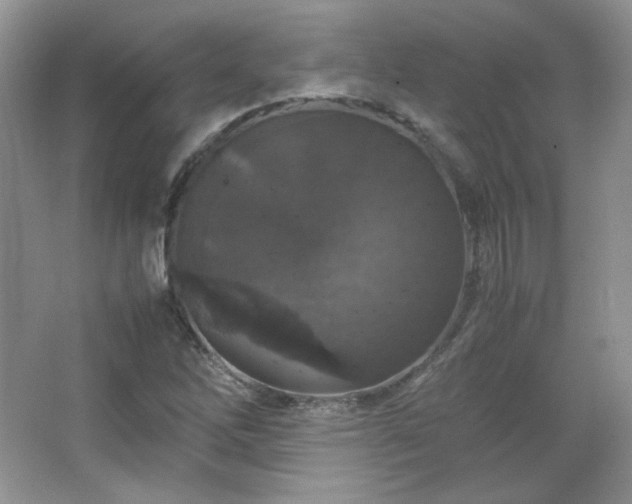 X0000067501262200604071217