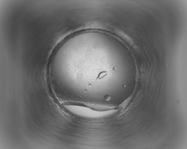 X0000067501264200604071217