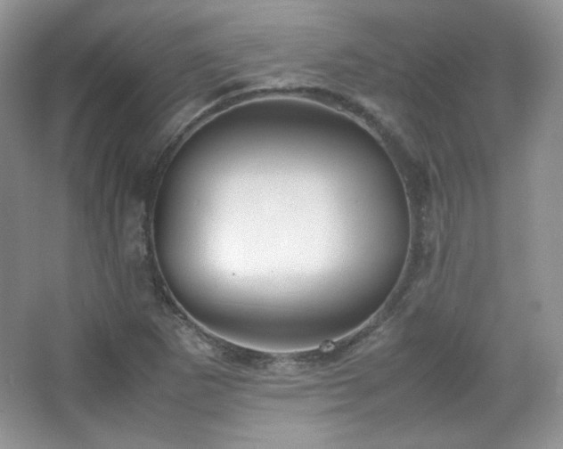 X0000067501265200604071217