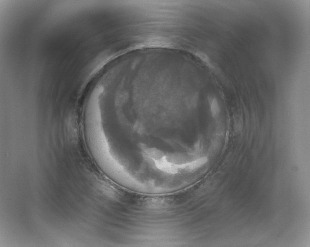 X0000067501266200604071217