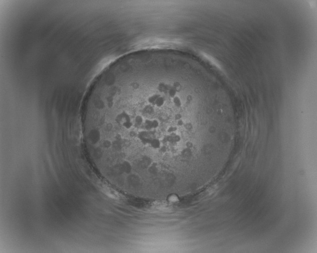 X0000067501267200604071217