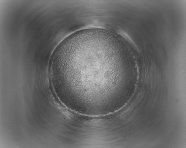 X0000067501268200604071217