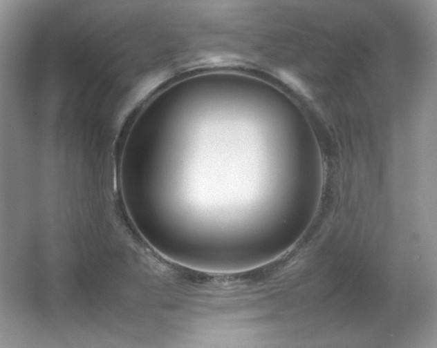 X0000067501269200604071217