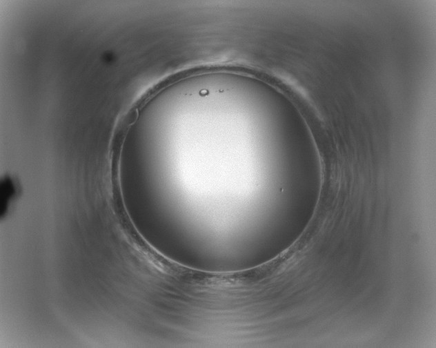 X0000067501270200604071217