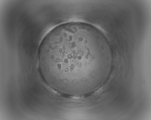 X0000067501271200604071217