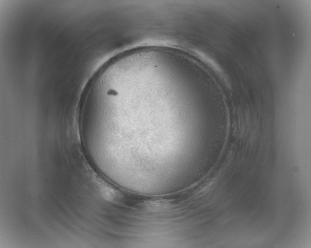 X0000067501272200604071217