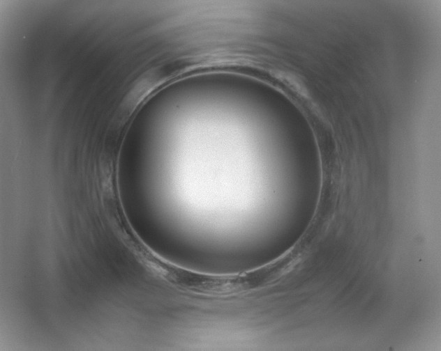 X0000067501273200604071217