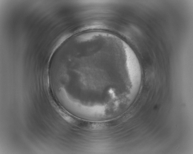 X0000067501274200604071217