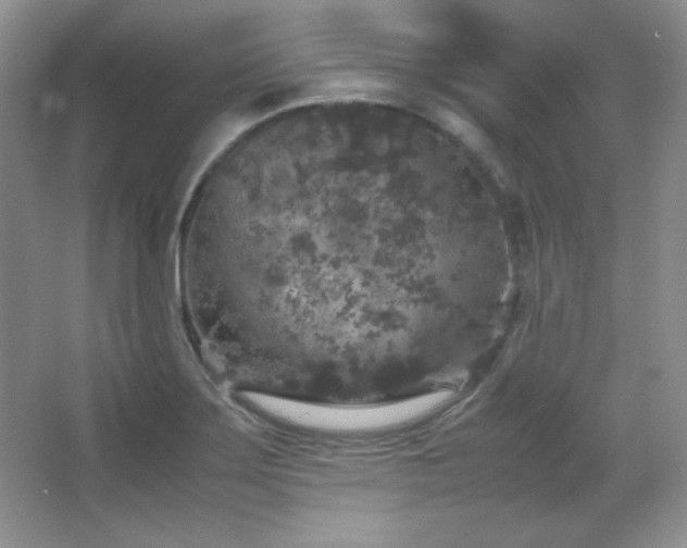 X0000067501275200604071217