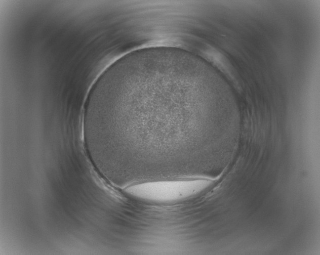 X0000067501276200604071217