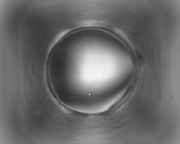 X0000067501277200604071217