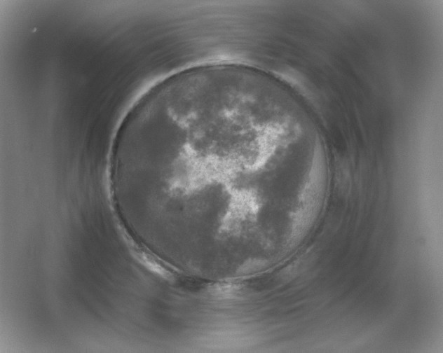 X0000067501278200604071217