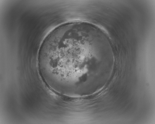 X0000067501279200604071217