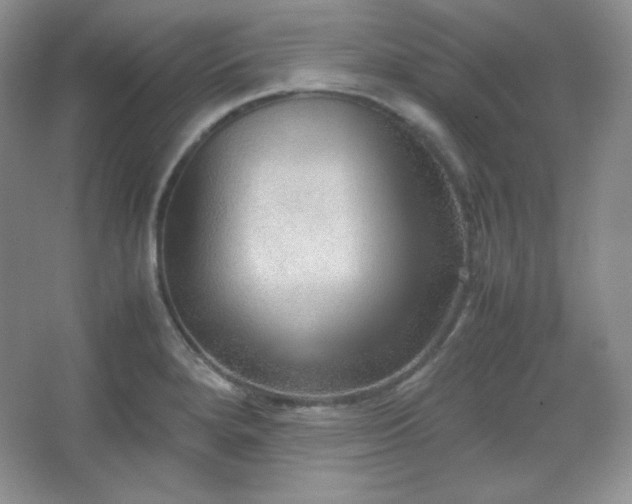 X0000067501280200604071217