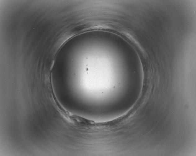 X0000067501281200604071217