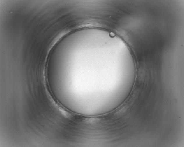 X0000067501282200604071217