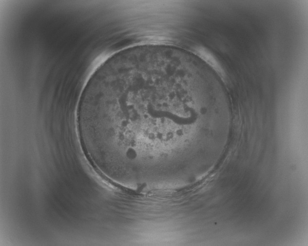 X0000067501283200604071217