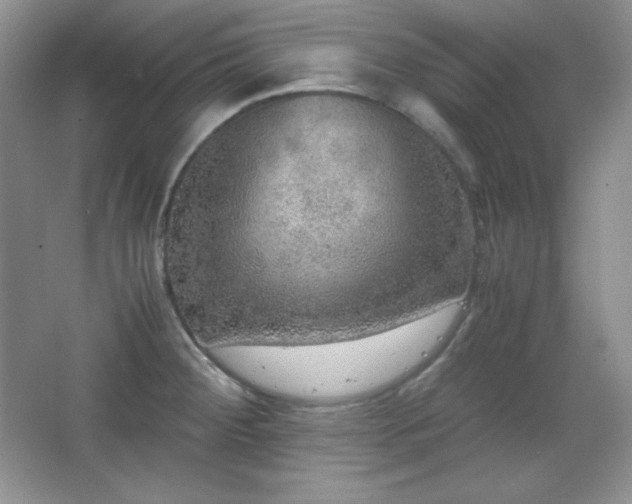 X0000067501284200604071217