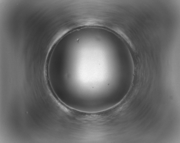 X0000067501285200604071217