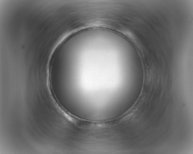 X0000067501286200604071217