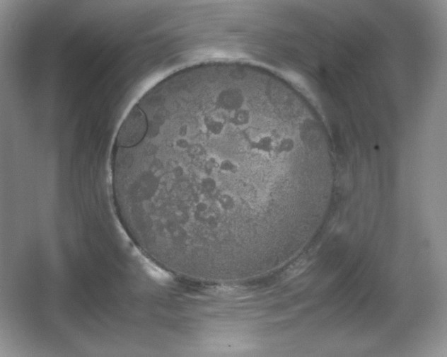 X0000067501287200604071217