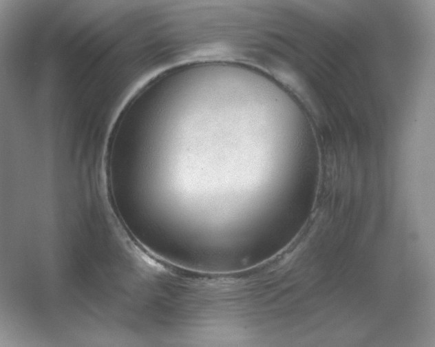 X0000067501288200604071217