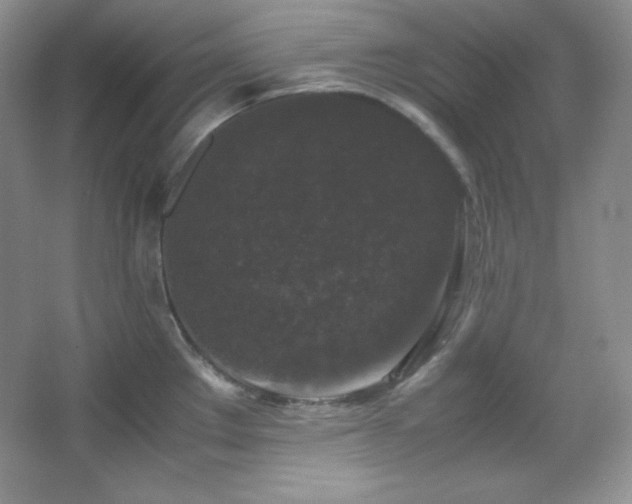 X0000067501289200604071216