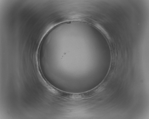 X0000067501291200604071216